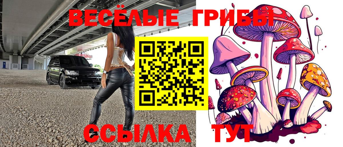 Галлюциногенные грибы Psilocybe Люберцы