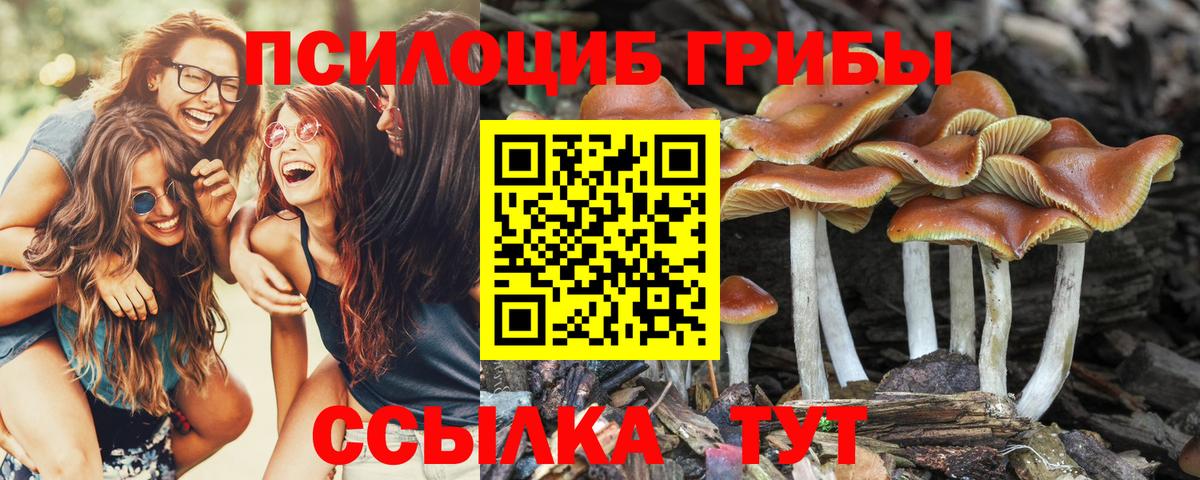 Люберцы  закладки  Вход с VPN  Псилоцибиновые грибы мухоморы 